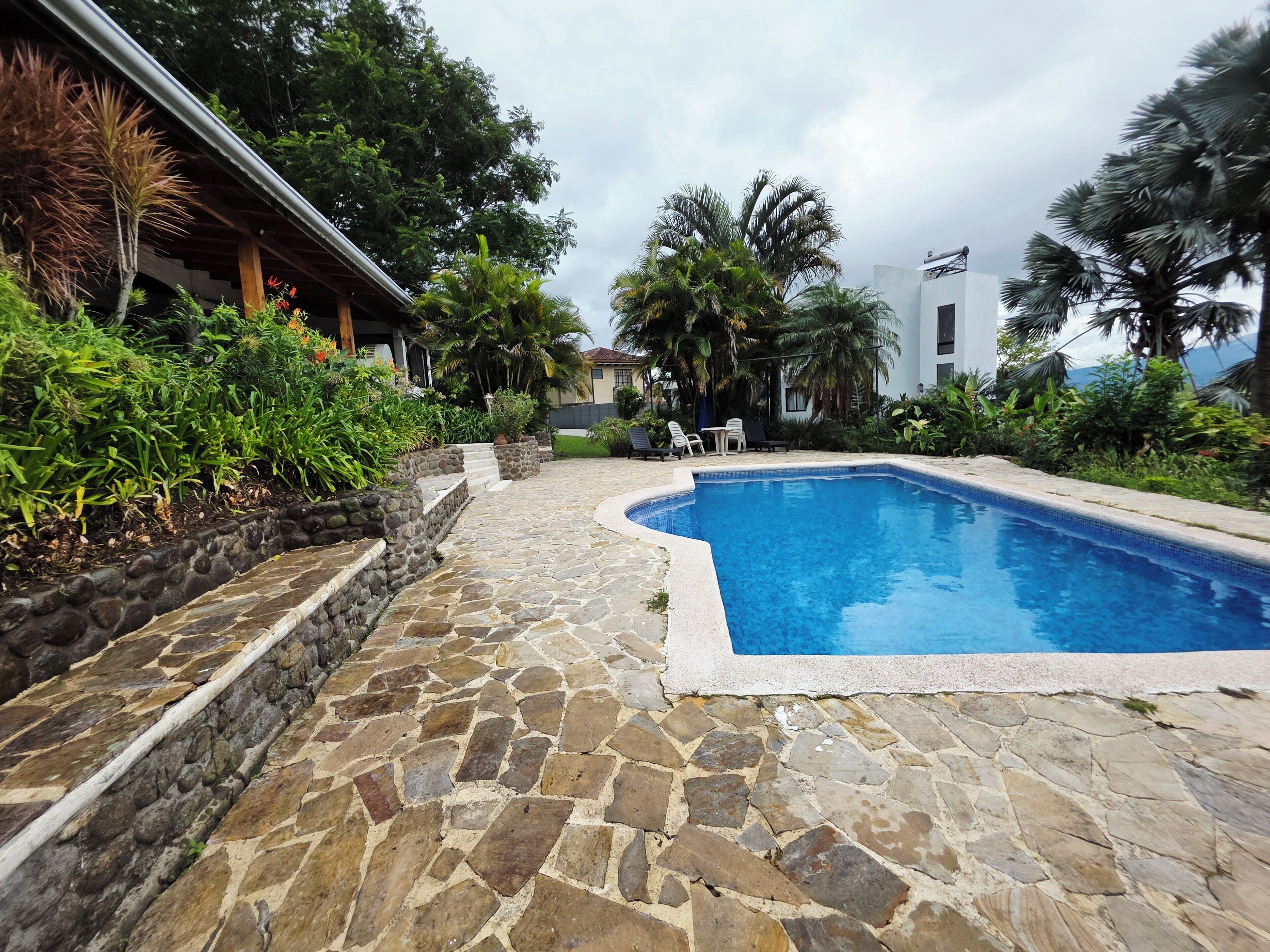 Une piscine dont le fond est recouvert de pierres, entourée d’une végétation luxuriante et de palmiers.