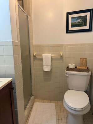 Et badeværelse med toilet, bruser, håndklædetørrestativ og et billede i ramme på væggen.