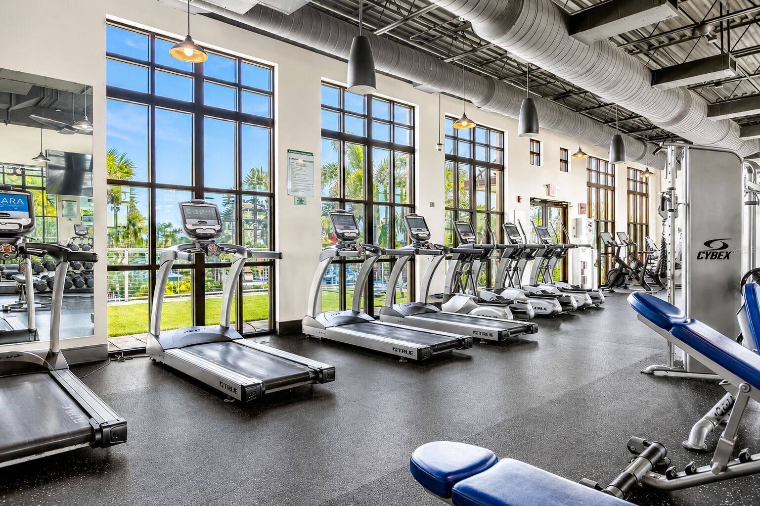 Gimnasio