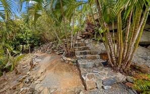 Un escalier en pierre, entouré d’une végétation luxuriante et de palmiers.