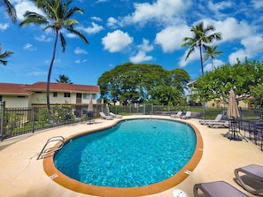 A swimming pool with lounge chairs and palm trees. - NEW Keauhou Palena Sleeps 3 (Kailua Kona)