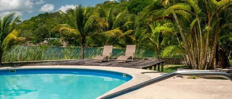 A swimming pool with lounge chairs and palm trees.