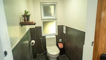 Une petite salle de bain avec des toilettes, une étagère avec des plantes, une fenêtre et une porte.