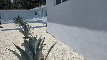 A modern building with a white exterior, a gravel driveway, and a few agave plants.