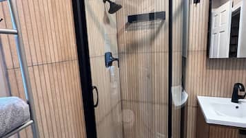 A corner shower enclosure with a glass door, a metal ladder, and a white sink.