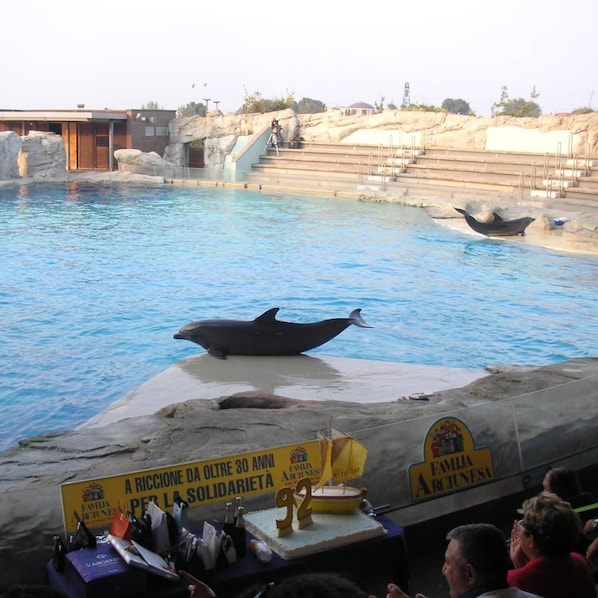 An indoor aquatic facility with a pool, dolphins performing, and a banner commemorating an anniversary. - Canasta (Riccione)