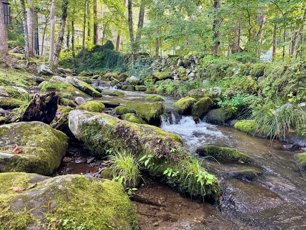 Een beekje in het bos met begroeide rotsen en een waterval.