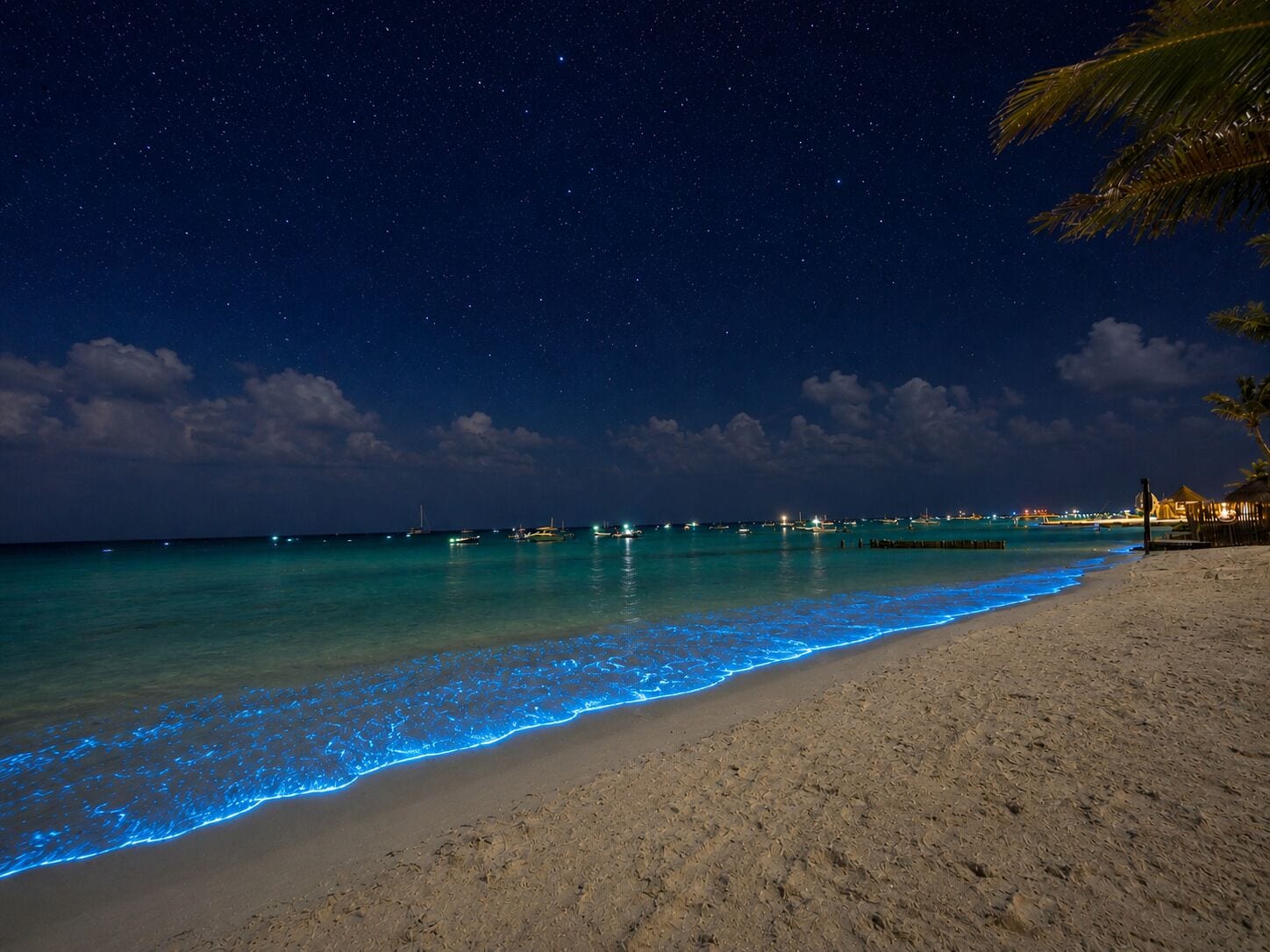 A beach at night with a starry sky, calm sea, and a few boats.