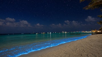 A beach at night with a starry sky, calm sea, and a few boats.