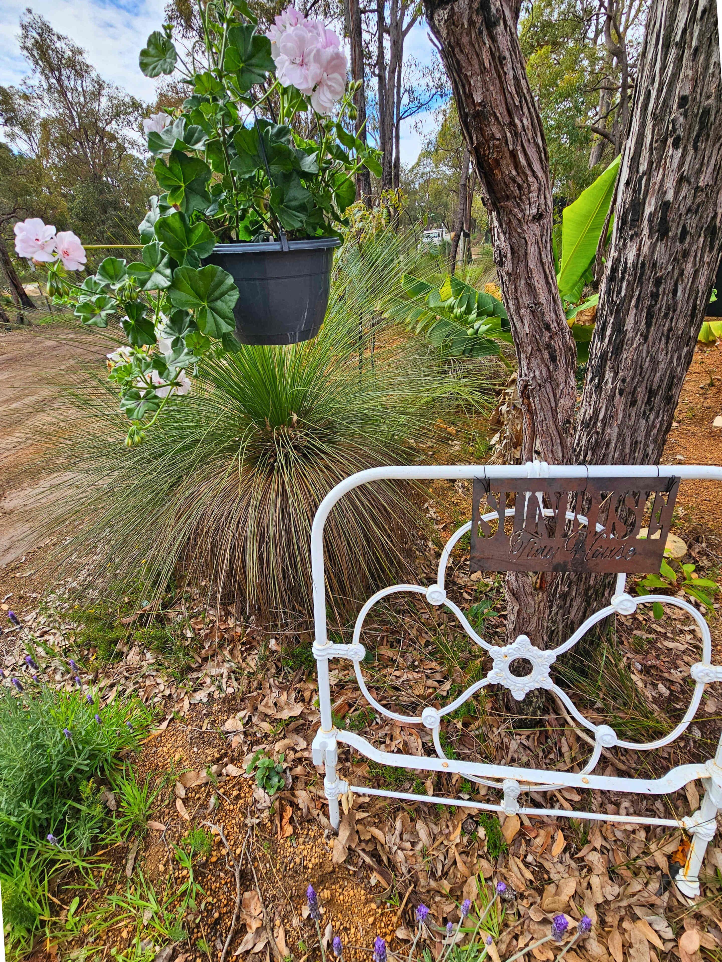 Een metalen bank met een decoratieve rugleuning, geplaatst in een tuin met verschillende planten en een boomstam.