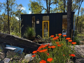 A small, dark-colored cabin with a yellow door, surrounded by trees and red flowers.