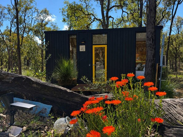 A small, dark-colored cabin with a yellow door, surrounded by trees and red flowers.
