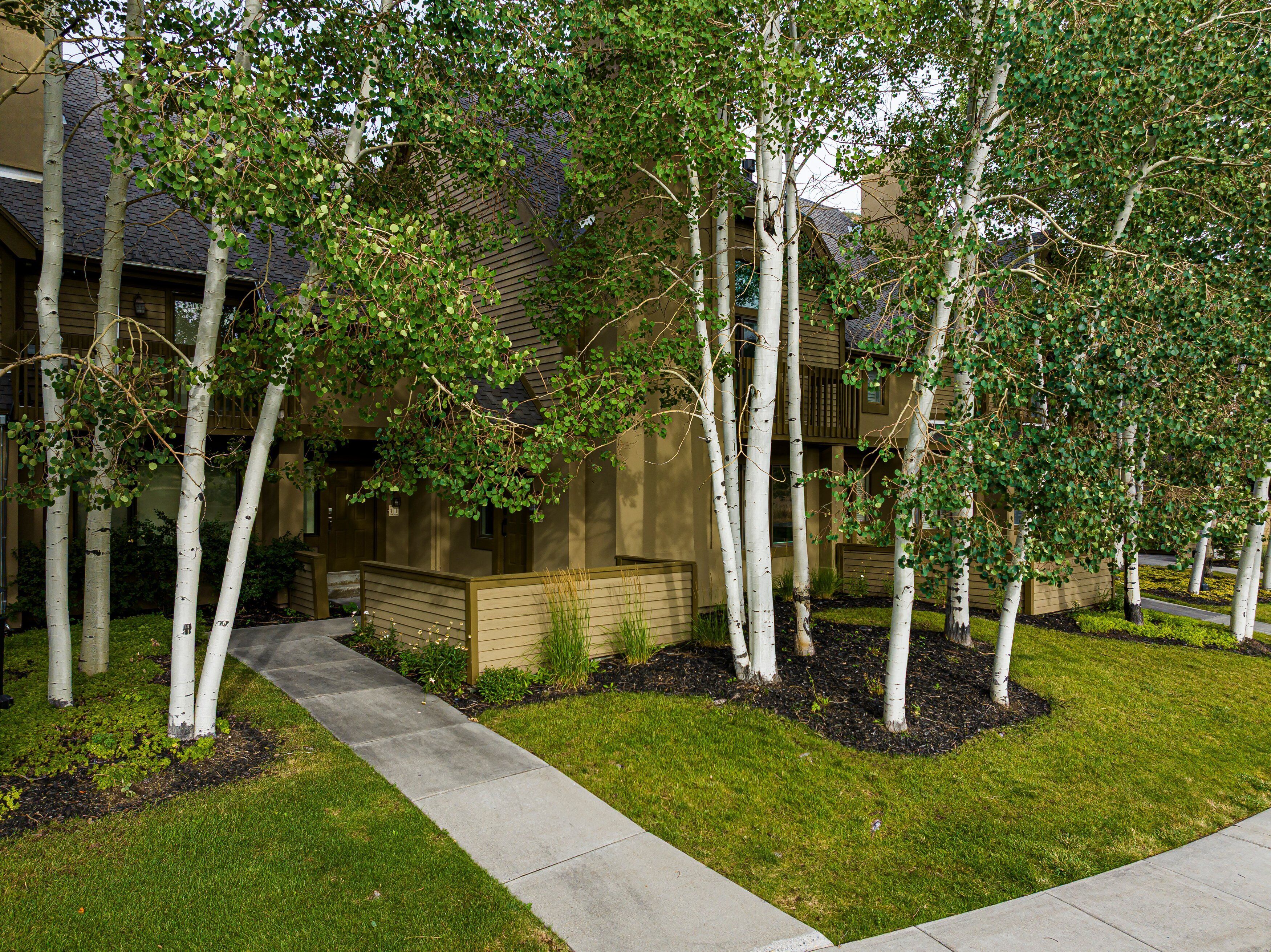 A residential building with a pathway leading to the entrance, surrounded by young trees and well-maintained grass.