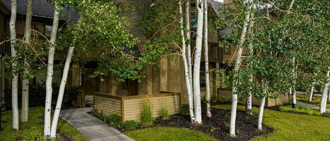 A residential building with a pathway leading to the entrance, surrounded by young trees and well-maintained grass.
