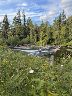 Une rivière qui traverse une zone boisée, caractérisée par une végétation dense et de nombreux arbres.