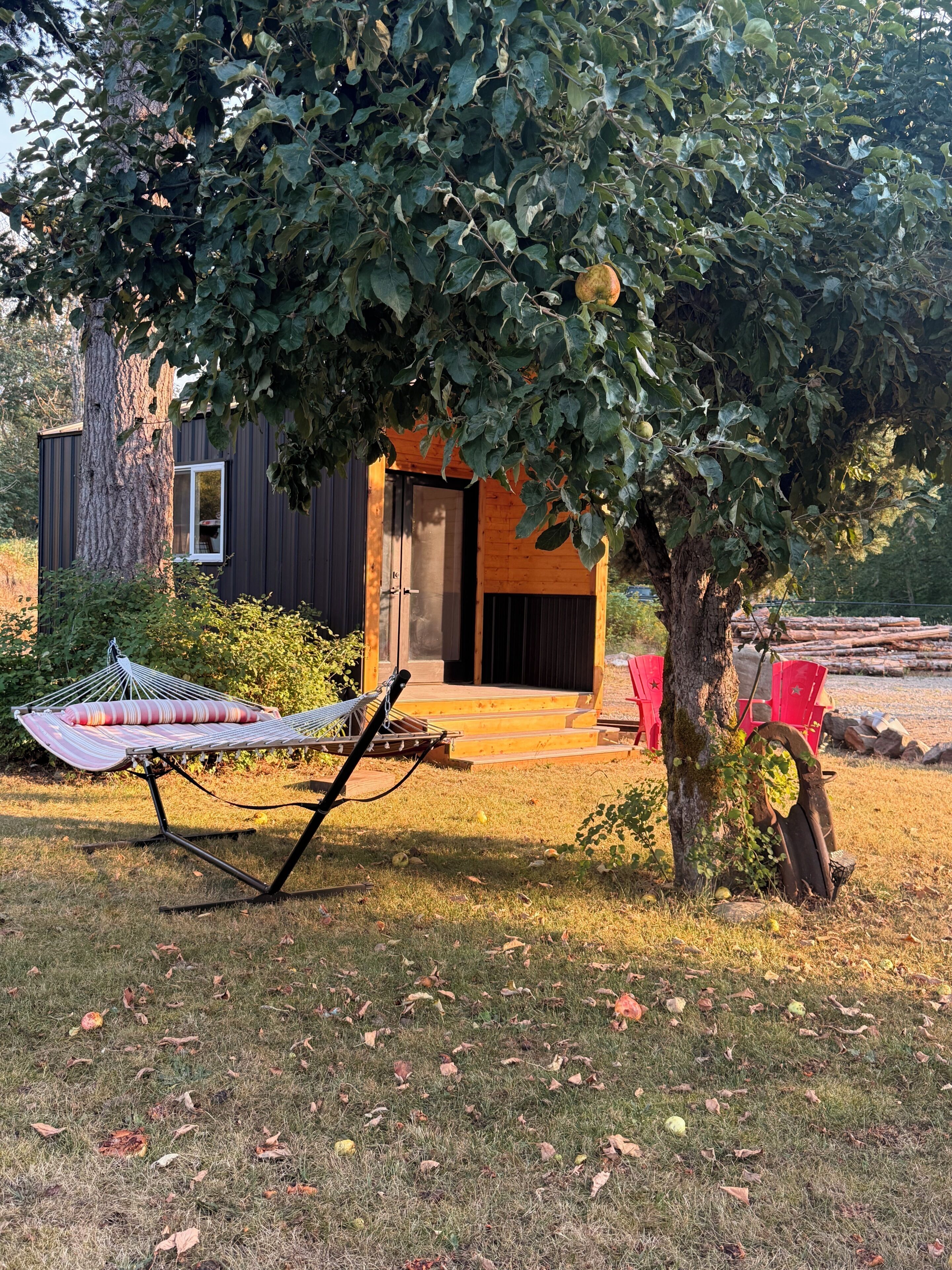 A wooden cabin with a hammock and a red chair in the yard.