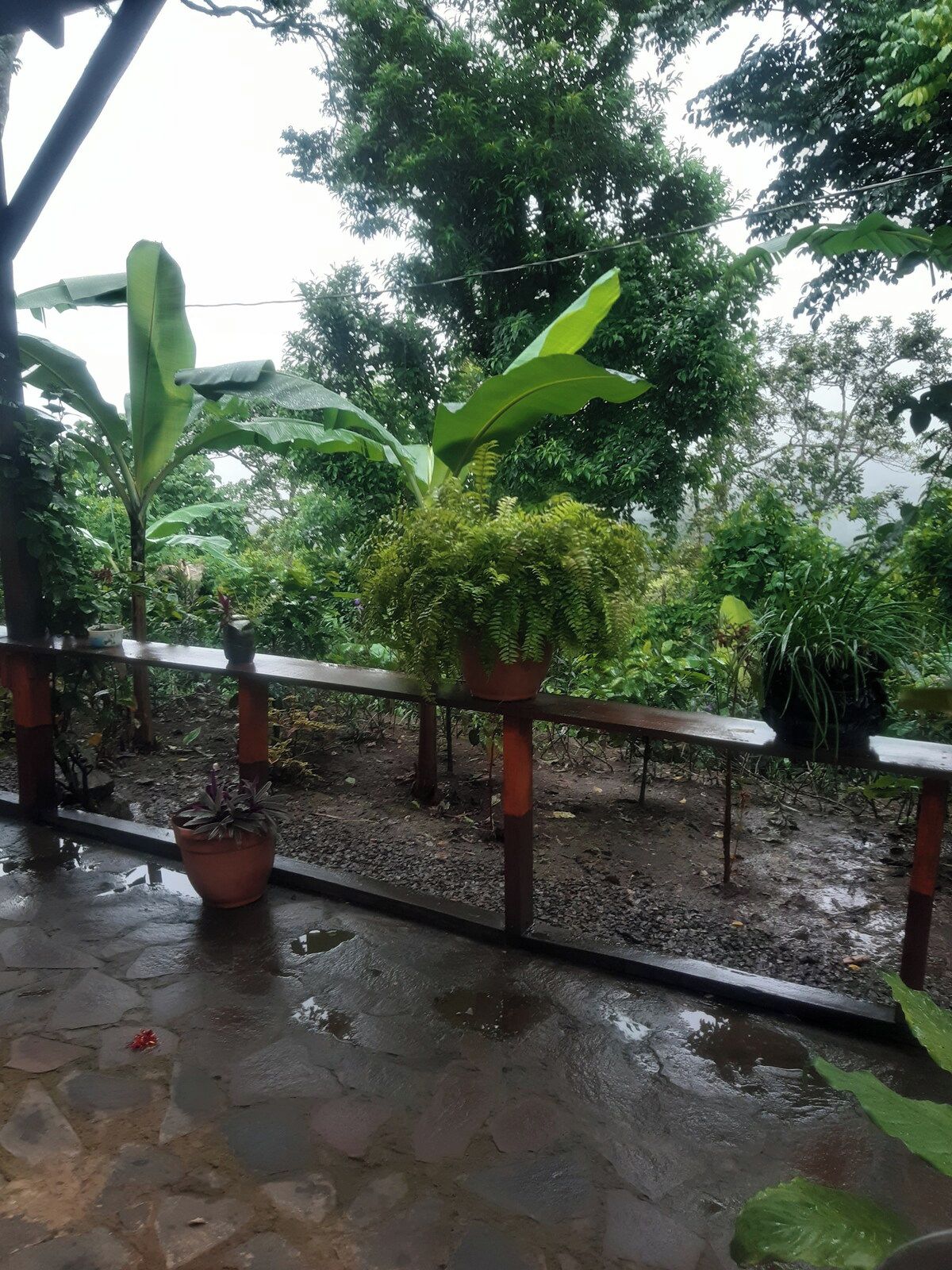 A covered outdoor area with a wooden railing, potted plants, and a wet ground surface.