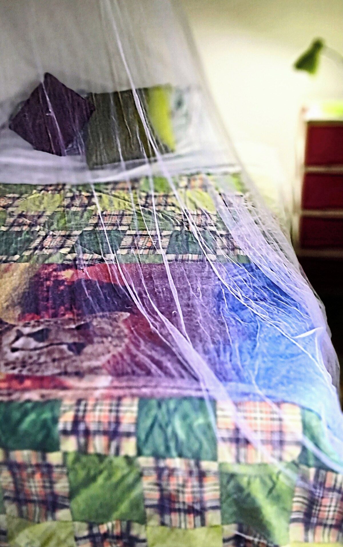 A bed with a quilt and a mosquito net.