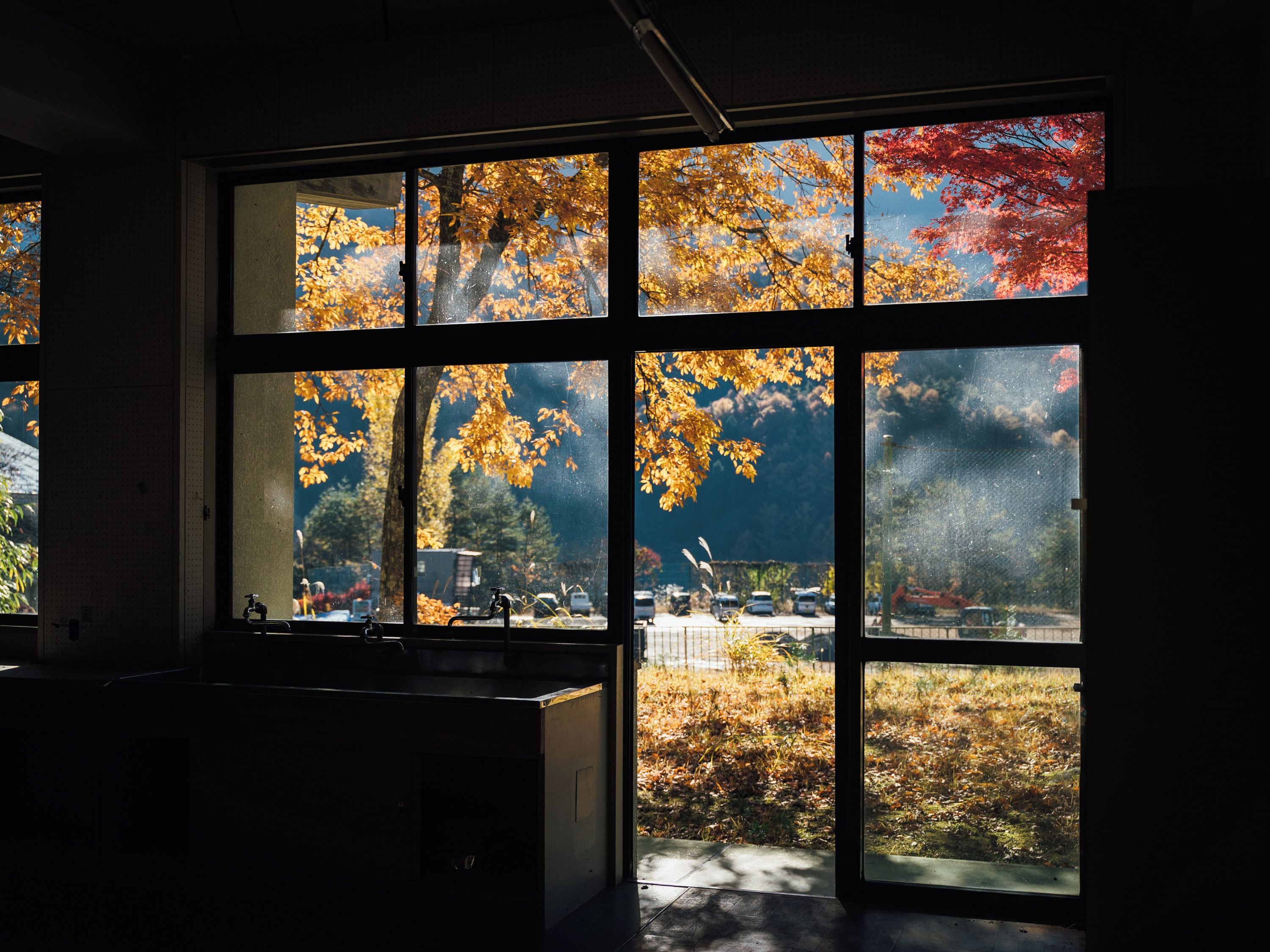 A room with large windows, a sink, and a view of trees with autumn leaves.