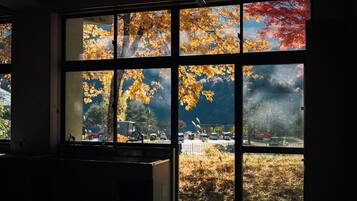 A room with large windows, a sink, and a view of trees with autumn leaves.