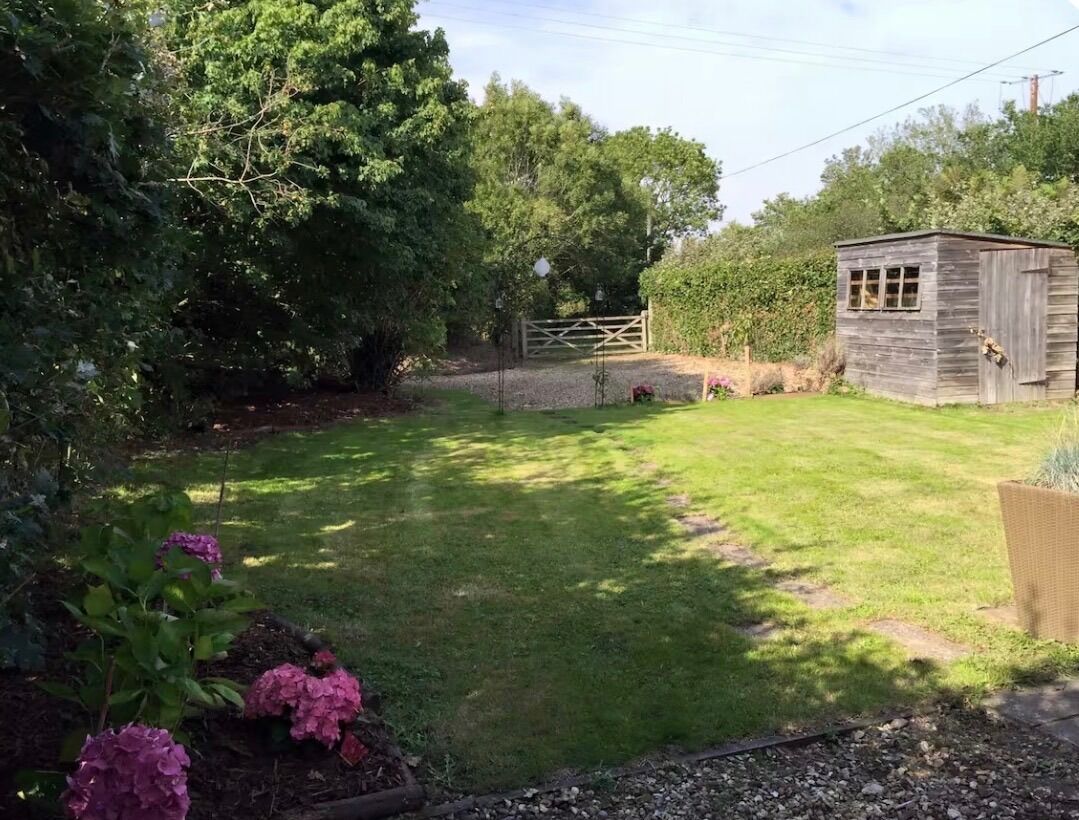 A grassy yard with a wooden shed, a gate, and dense foliage.