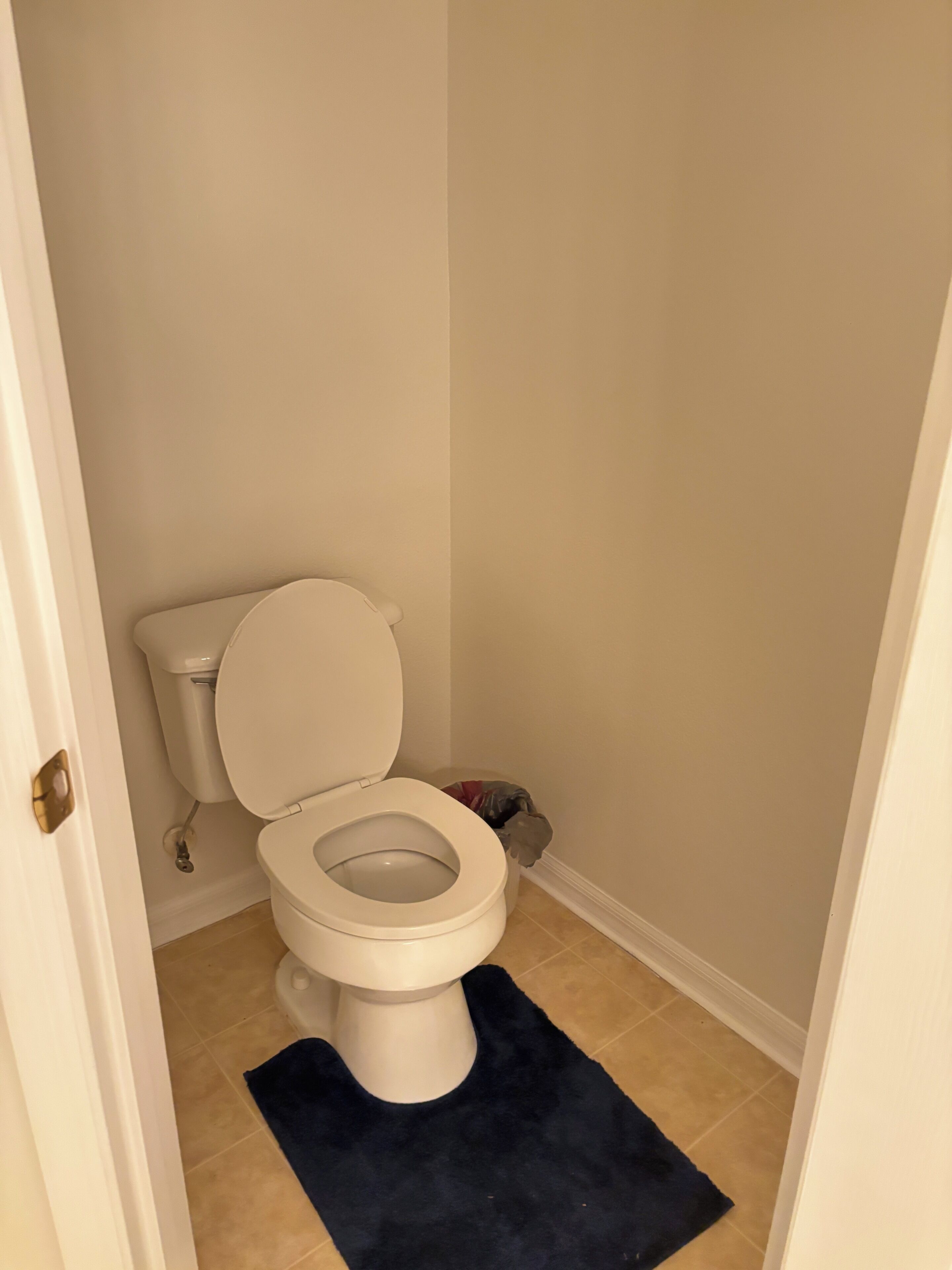 Kylpyhuone, jossa on wc, roskakori ja tummansininen matto.