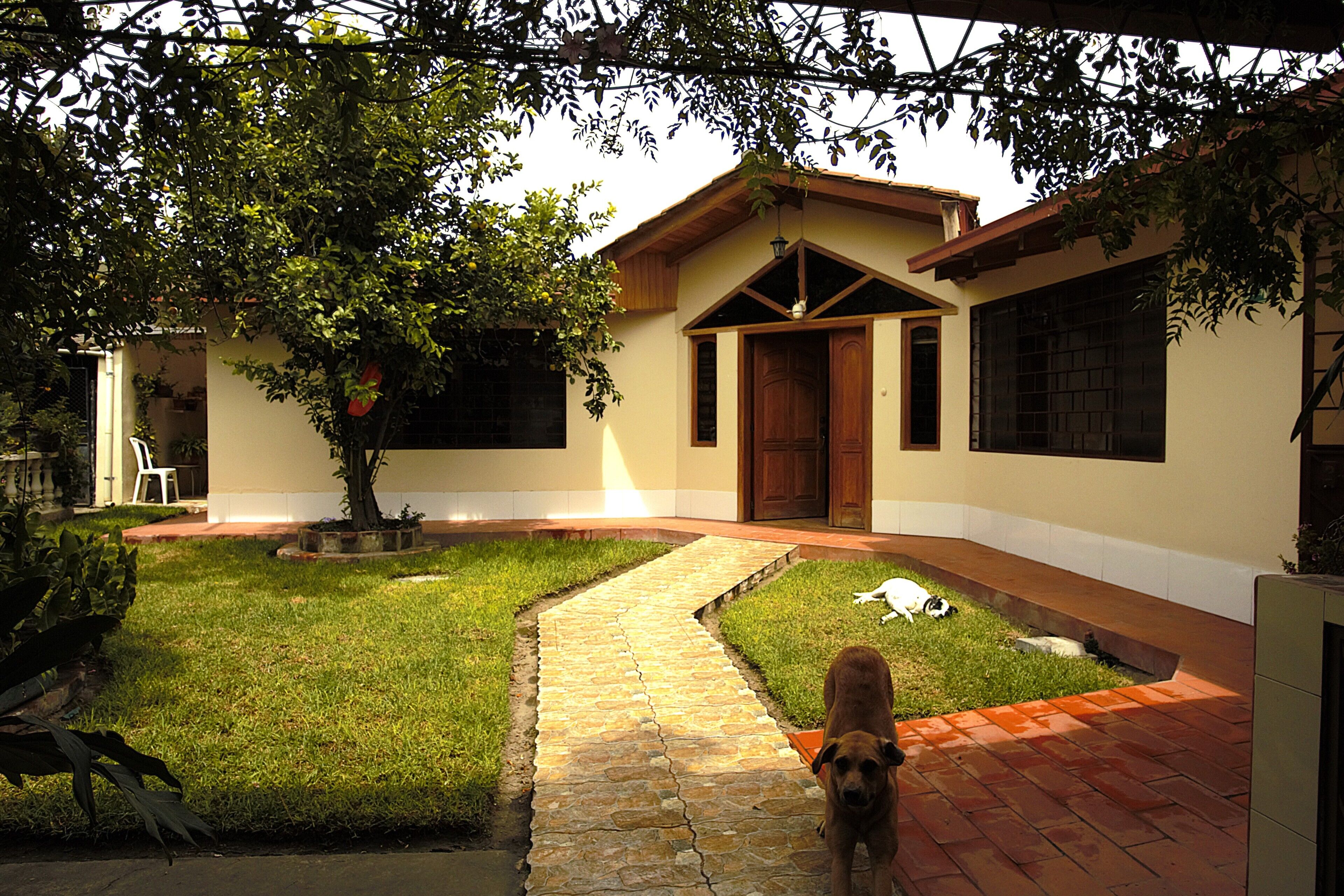 Una casa con entrada pavimentada, césped y un árbol.
