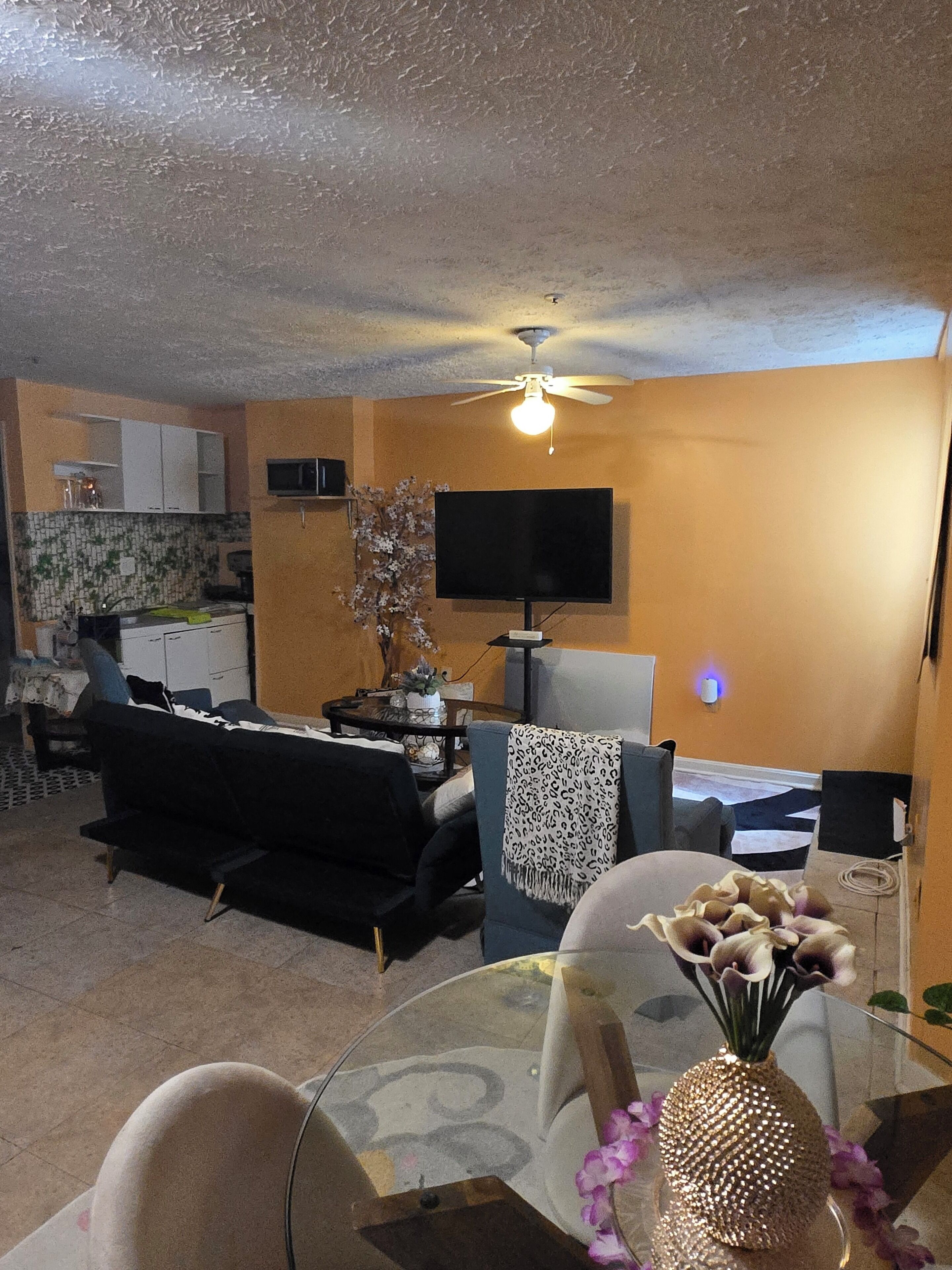 Private Basement Suite With Kitchen & Separate Entrance - Maryland