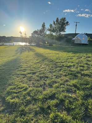 A grassy field with a white geodesic dome structure and a clear sky.