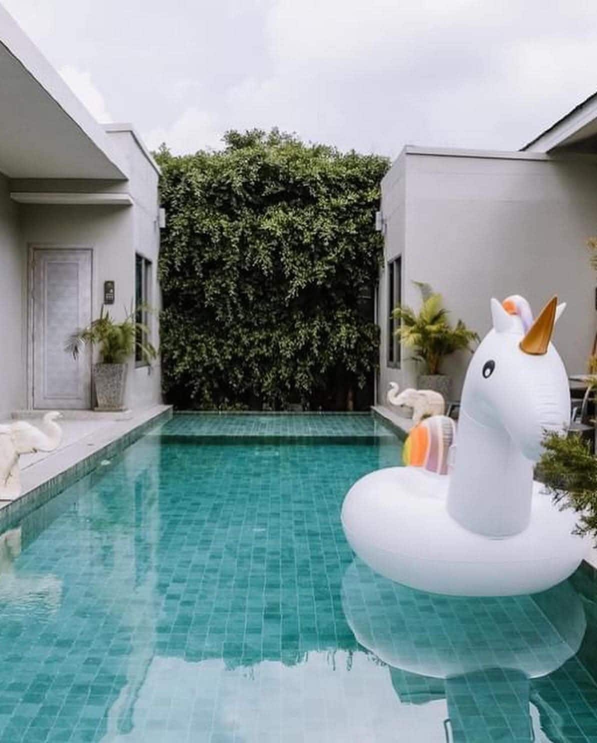 Een zwembad met een opblaasbaar zwanenfiguur en een haag op de achtergrond.