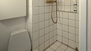 Shower, hair dryer