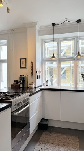 Private kitchen - Country House / Farm House in Copenhagen with 2 bedrooms sleeps 4 (Copenhagen)