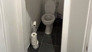 A small bathroom with a toilet, a toilet paper holder, and a framed picture on the wall. - -In Valjc- (Liverdun)
