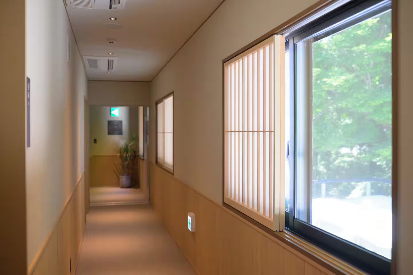 A corridor with a wooden floor, a potted plant, and a window with blinds.
