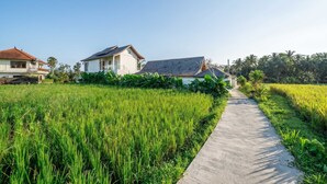 A rural landscape with a pathway leading through a field of crops, flanked by houses with tiled roofs. - Cozy Ubud 1BR w Open-Air Bath, Pool & Garden (Gianyar Regency)