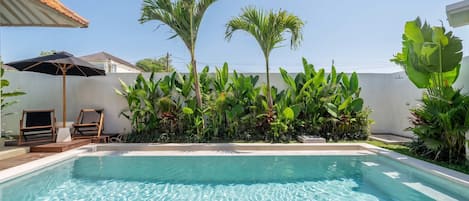 A swimming pool with clear water, surrounded by lush greenery and a white wall.