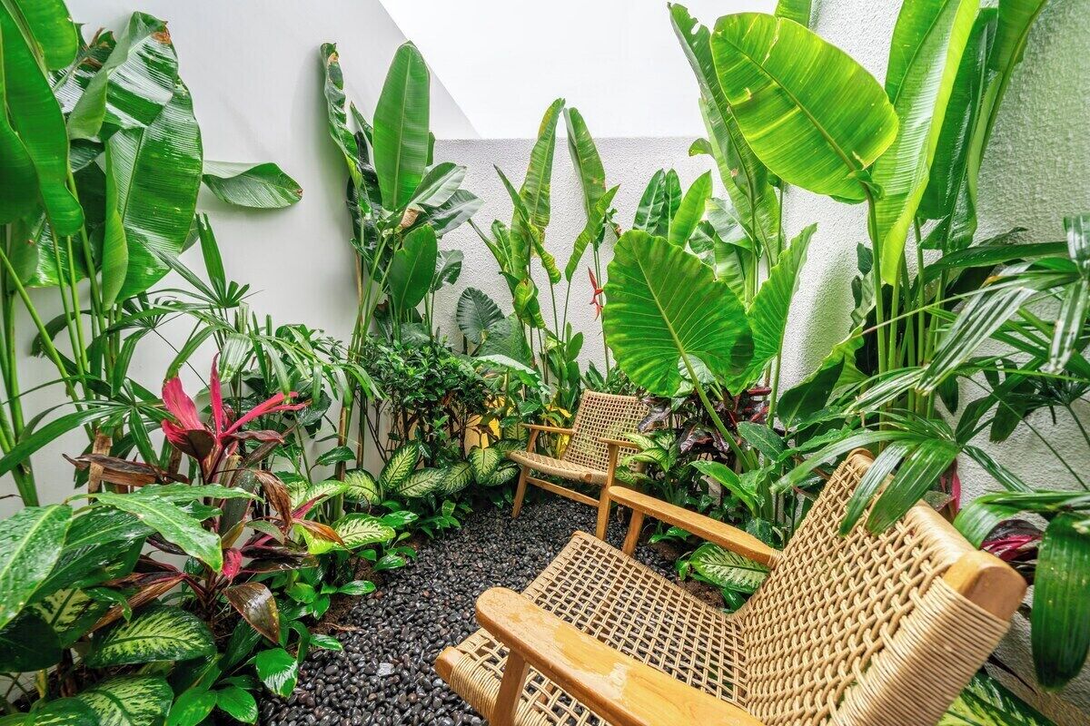 A small outdoor seating area with wicker furniture surrounded by lush tropical plants.
