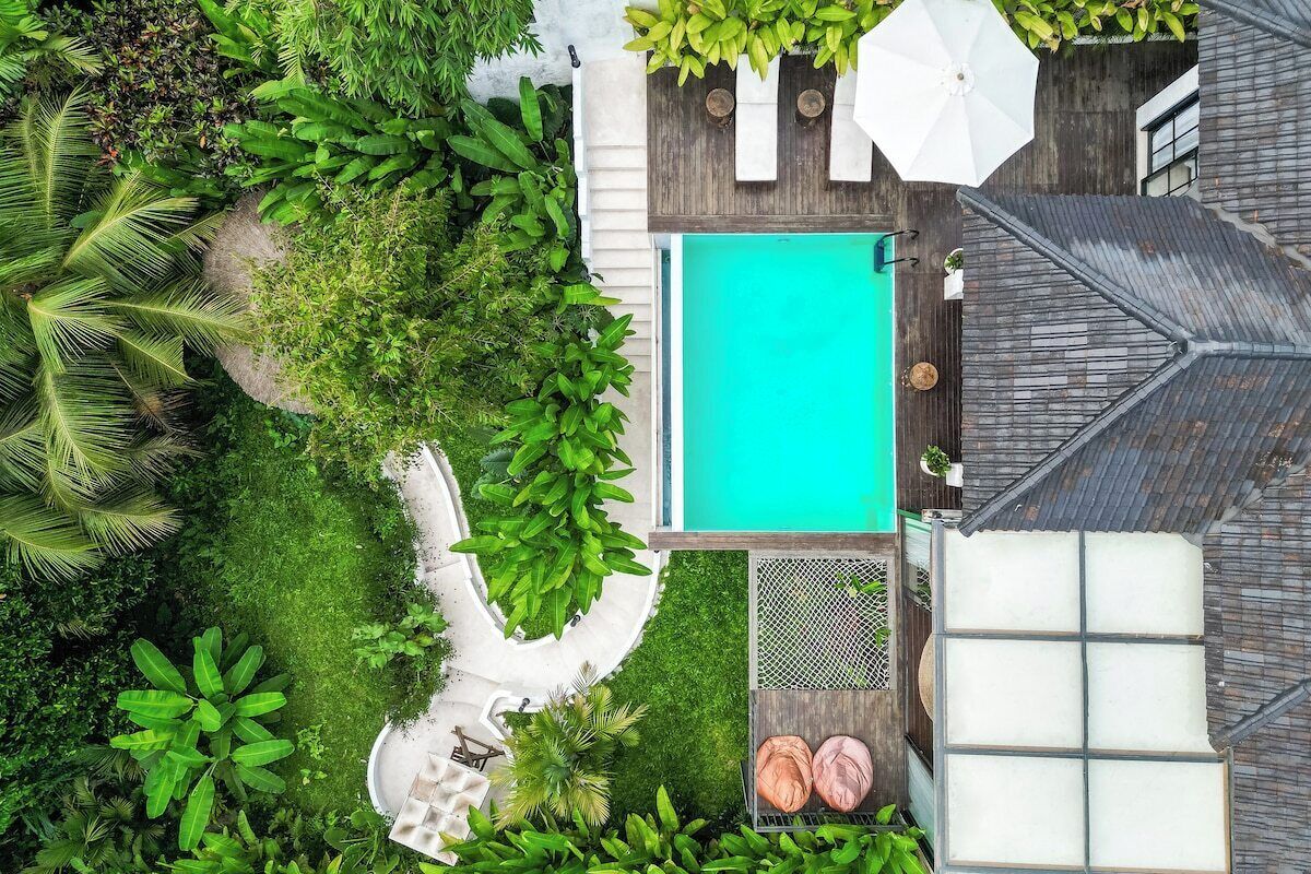 A rooftop pool with surrounding greenery and a wooden deck.