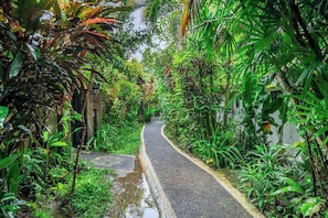 A narrow, paved pathway flanked by dense tropical vegetation, leading towards a building with a visible door. - Cozy 1BR Villa in Lush Ubud w Spa+2 Pools+Balcony (Ubud)