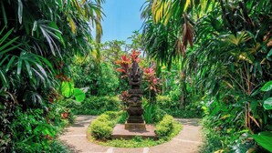 A garden pathway leading to a stone structure surrounded by lush tropical vegetation. - Brand NEW Hidden 2BR Gem in Ubud w Pool & Patio (Kabupaten Gianyar)