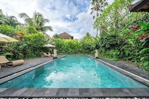 Une piscine rectangulaire à l’eau d’un bleu cristallin, entourée d’une végétation luxuriante et de palmiers.