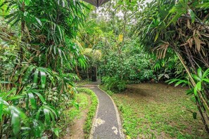 A pathway surrounded by dense tropical vegetation. - New 3BR Villa in Serene Ubud Complex w Spa+2 Pools (Kabupaten Gianyar)