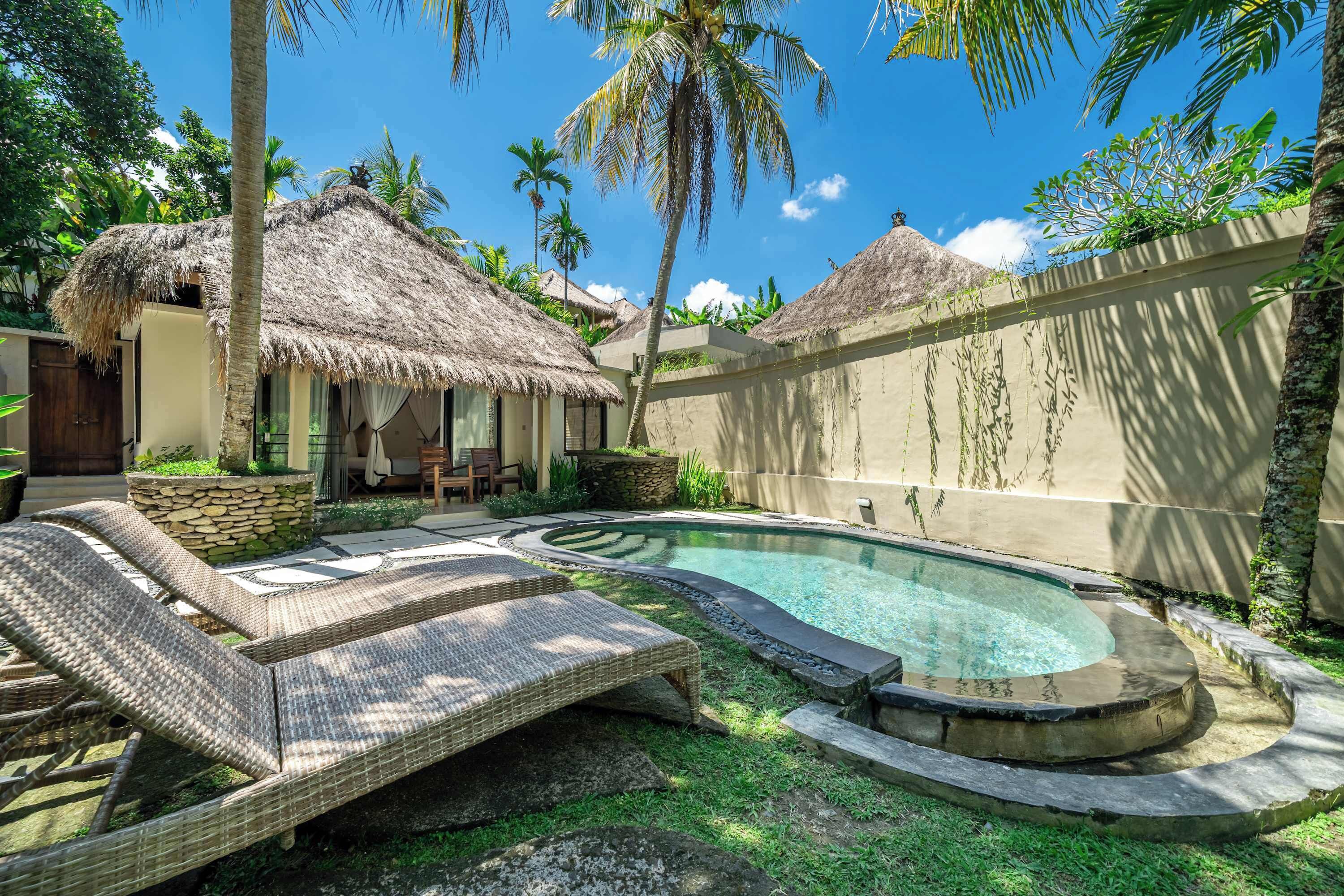A pool area with lounge chairs, a thatched-roof structure, and a stone wall.