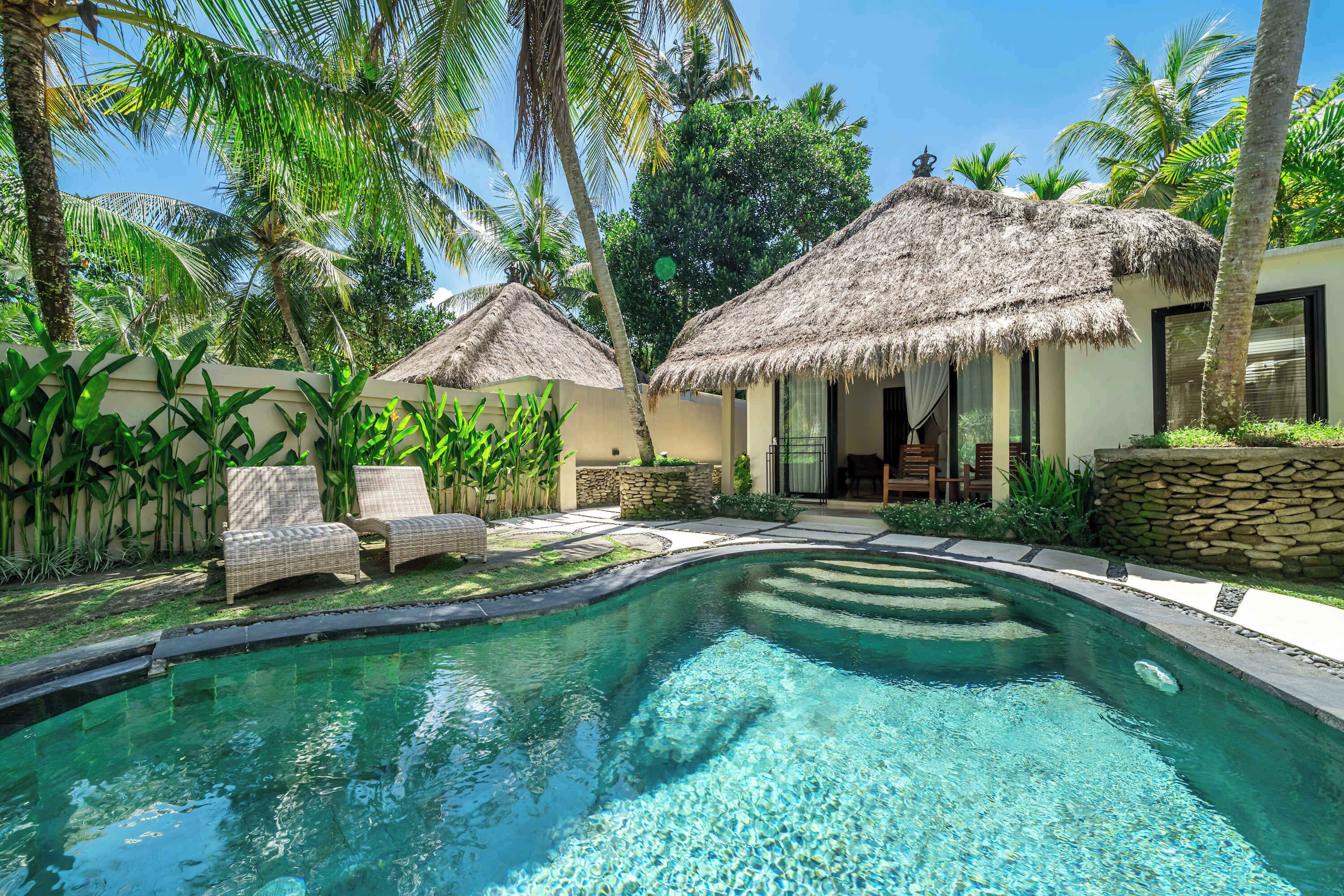 A pool area with a clear water surface, surrounded by tropical vegetation and thatched-roof structures.