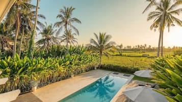 A pool area with a clear view of a lush garden and palm trees.
