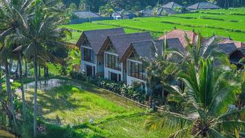 Ein Resort mit mehreren Bungalows, umgeben von üppigen Reisfeldern und Palmen.
