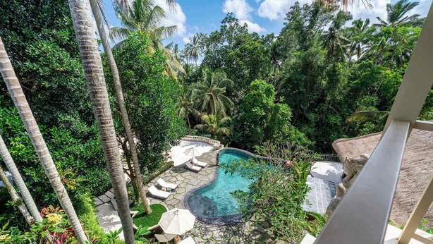 A pool surrounded by tropical vegetation, with stone steps leading to the water. - Designer Ricefield View Suite in Mesari Hotel Ubud (Gianyar Regency)