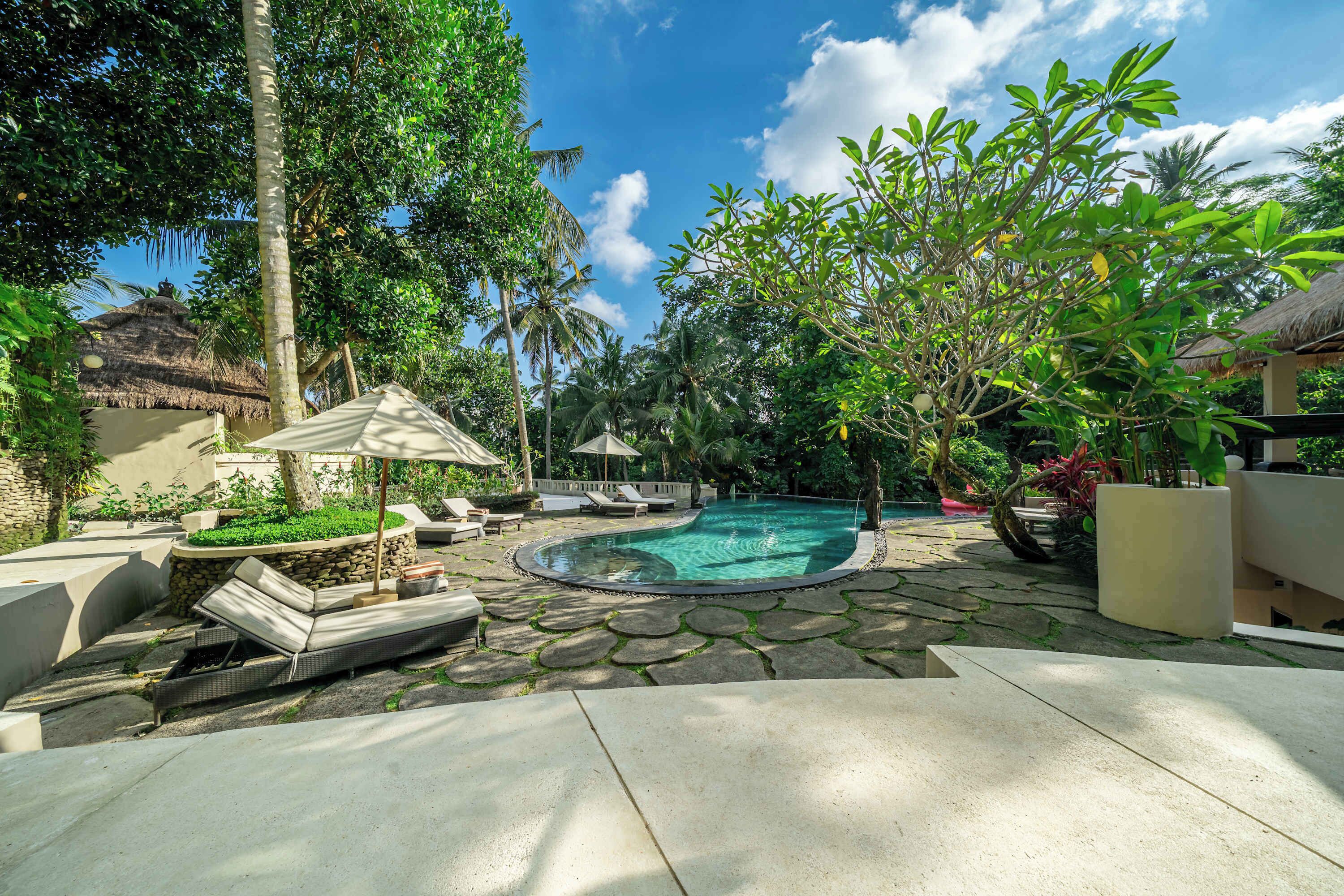 A pool area with lounge chairs and umbrellas, surrounded by tropical vegetation.