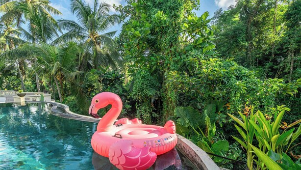 Pool - Chic Ricefield View Suite in Mesari Hotel - Ubud (Gianyar Regency)
