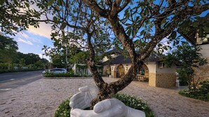 Un arbre orné d’une sculpture unique représentant des mains qui l’enlacent, situé dans un espace paysager agrémenté d’un chemin pavé et d’un bâtiment en arrière-plan.